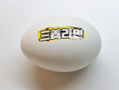 New Proteins (Strange but all Ours), Asia 2, 2025, Eierschale, gefundene Verpackung, Mischtechnik