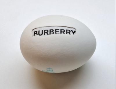 New Proteins (Strange but all Ours), Burberry, 2025, Eierschale, gefundene Verpackung, Mischtechnik