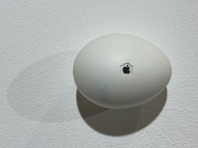 New Proteins_Strange but all Ours, Apple 2, 2025, Eierschale, gefundene Verpackung, Mischtechnik