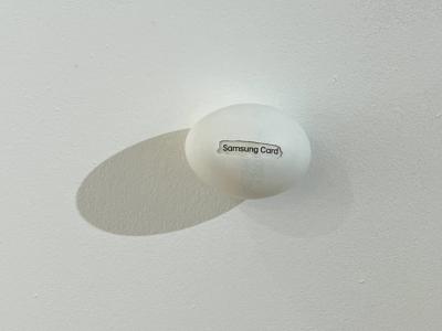New Proteins (Strange but all Ours), Samsung Card, 2025, Eierschale, gefundene Verpackung, Mischtechnik