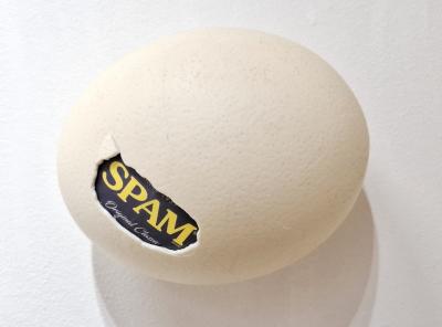 Ostrich egg, Spam, 2025, Straußeneierschale, gefundene Verpackung, Mischtechnik
