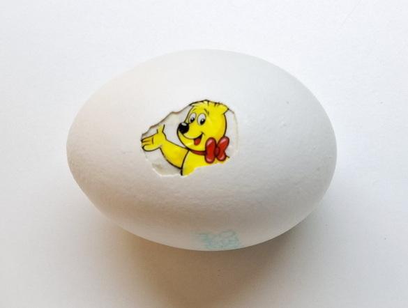 New Proteins (Strange but all Ours), Haribo, 2025, Eierschale, gefundene Verpackung, Mischtechnik
