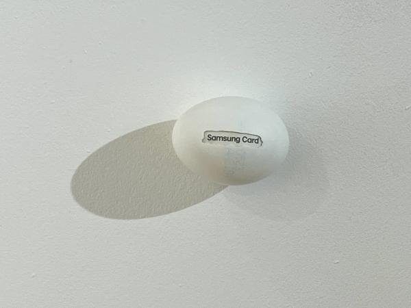 New Proteins (Strange but all Ours), Samsung Card, 2025, Eierschale, gefundene Verpackung, Mischtechnik