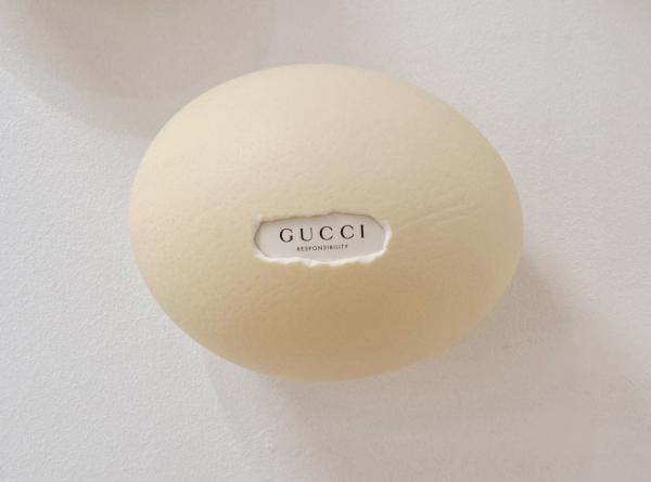 Ostrich egg, Gucci, 2025, Straußeneierschale, gefundene Verpackung, Mischtechnik