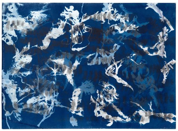 Synapsen wachsen III, 2026, Cyanotypie auf Lithografie, 42 x 60 cm